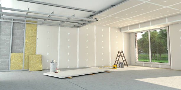 Best Local Insulation Services  in Little Canada, MN