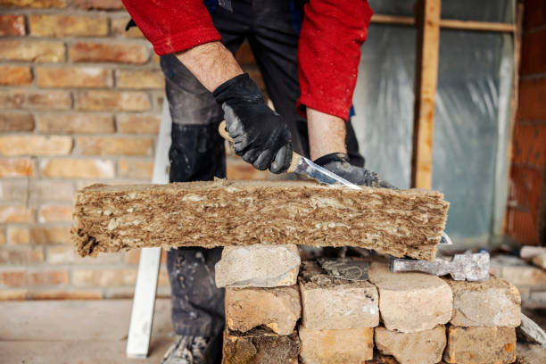 Best Home Insulation Services  in Little Canada, MN